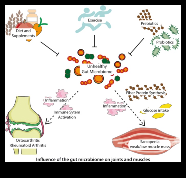 Proteine ​​și microbiomul intestinal: o interacțiune dinamică