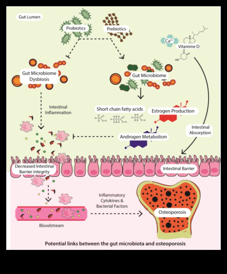 Proteine ​​și microbiomul intestinal: o interacțiune dinamică