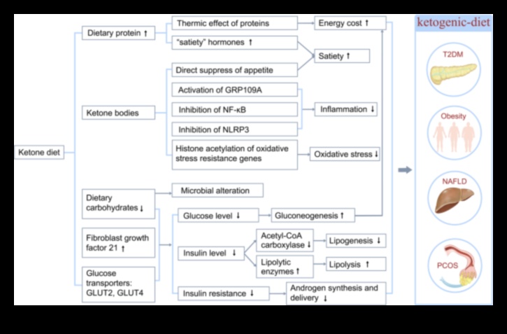 Rolul cetonelor în gestionarea condițiilor cronice