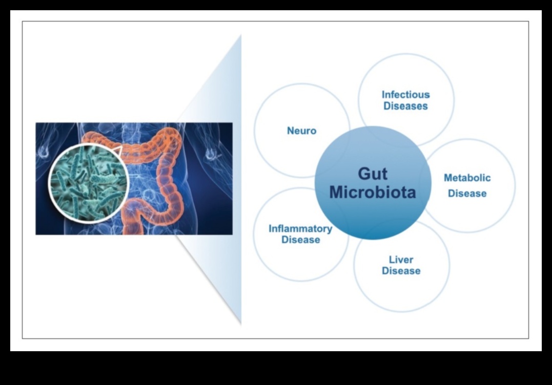 Proteine ​​și microbiomul intestinal: o interacțiune dinamică